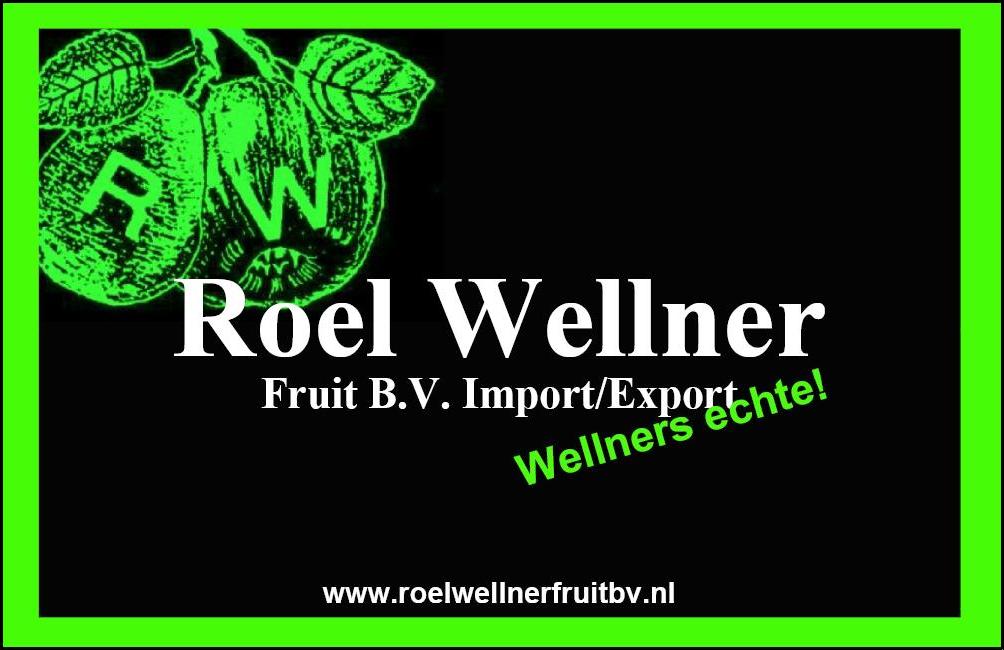 Roel Wellner